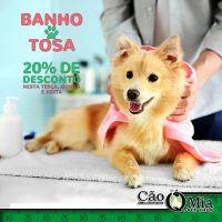 Banho-E-Tosa_20%-2018_facebook-2