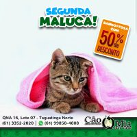 cqm_segunda_maluca3_GATO
